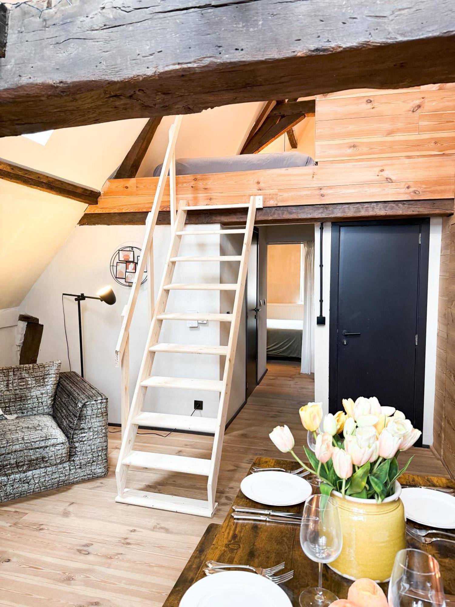 Loulou Home's Anvers